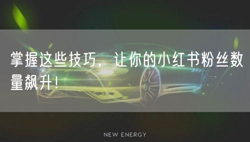掌握这些技巧，让你的小红书粉丝数量飙升！