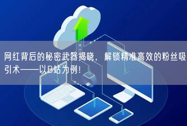 网红背后的秘密武器揭晓，解锁精准高效的粉丝吸引术——以B站为例！