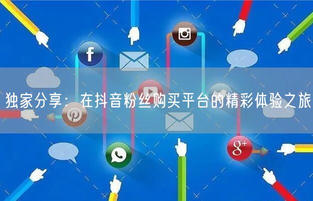独家分享：在抖音粉丝购买平台的精彩体验之旅