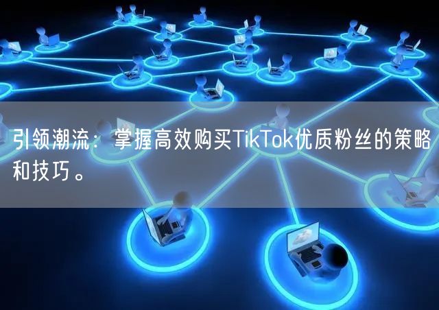 引领潮流：掌握高效购买TikTok优质粉丝的策略和技巧。