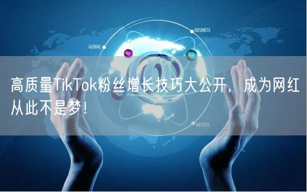 高质量TikTok粉丝增长技巧大公开，成为网红从此不是梦！