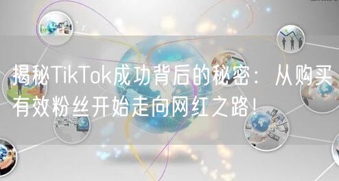 揭秘TikTok成功背后的秘密：从购买有效粉丝开始走向网红之路！