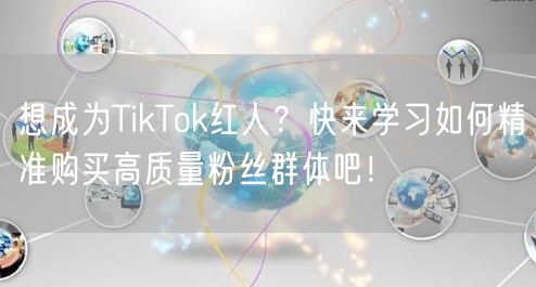想成为TikTok红人？快来学习如何精准购买高质量粉丝群体吧！