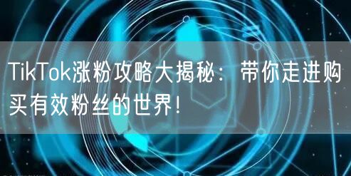 TikTok涨粉攻略大揭秘：带你走进购买有效粉丝的世界！