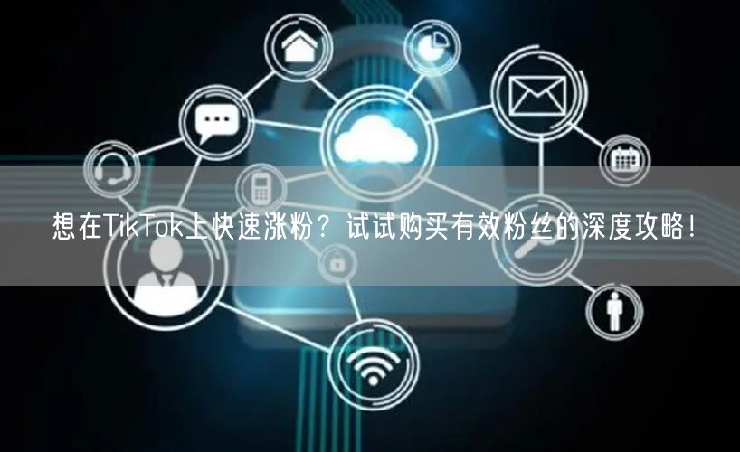 想在TikTok上快速涨粉？试试购买有效粉丝的深度攻略！