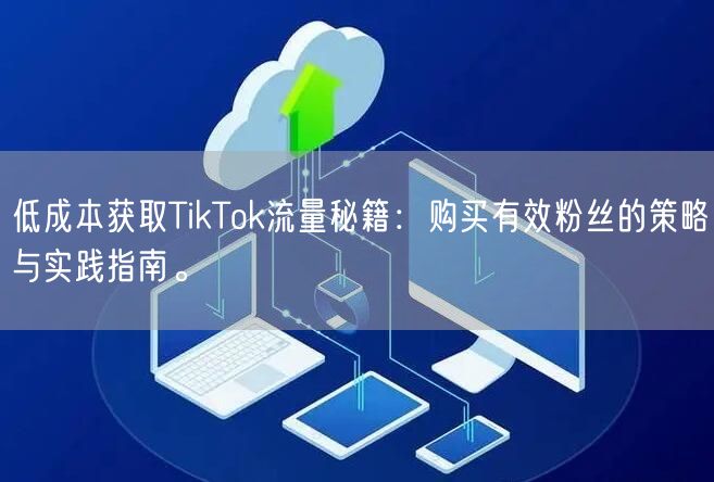 低成本获取TikTok流量秘籍：购买有效粉丝的策略与实践指南。