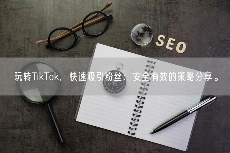 玩转TikTok，快速吸引粉丝：安全有效的策略分享。