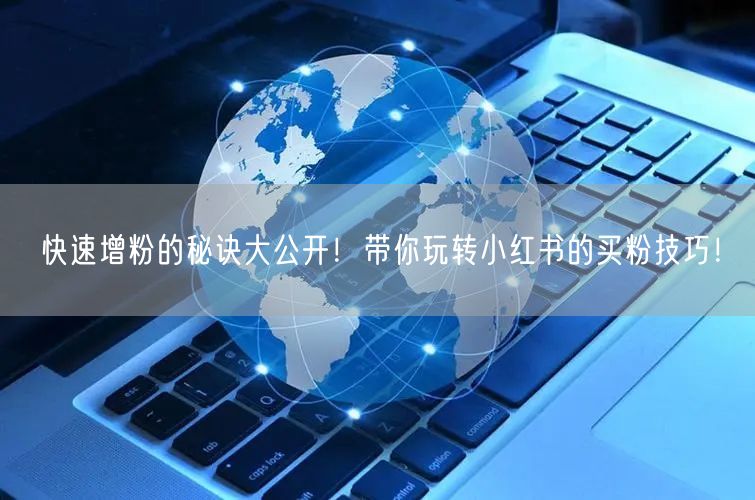 快速增粉的秘诀大公开！带你玩转小红书的买粉技巧！