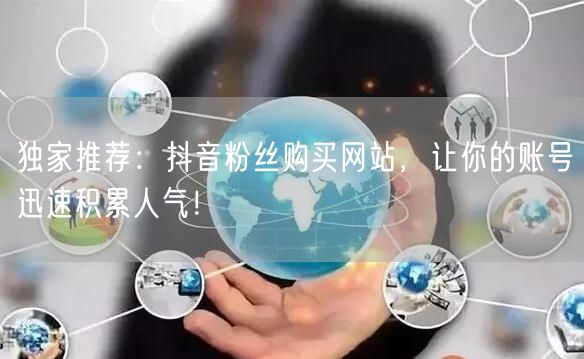 独家推荐：抖音粉丝购买网站，让你的账号迅速积累人气！