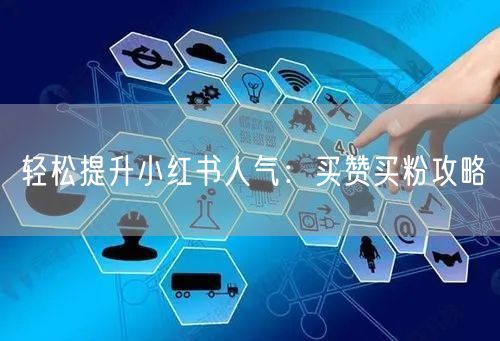 轻松提升小红书人气：买赞买粉攻略