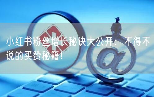 小红书粉丝增长秘诀大公开：不得不说的买赞秘籍！