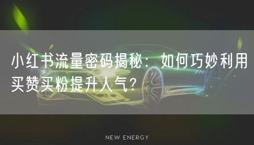 小红书流量密码揭秘：如何巧妙利用买赞买粉提升人气？