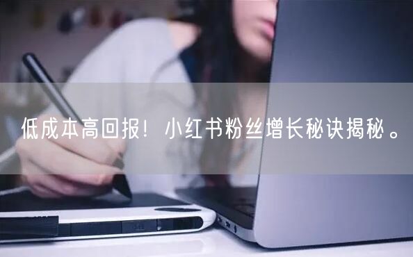 低成本高回报！小红书粉丝增长秘诀揭秘。