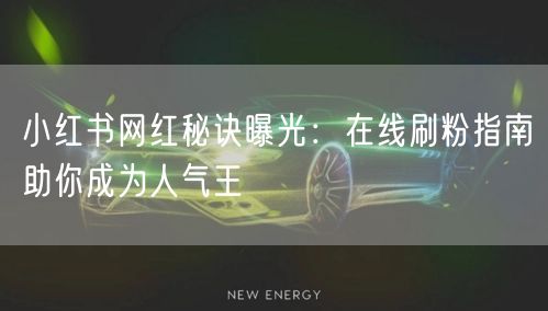 小红书网红秘诀曝光：在线刷粉指南助你成为人气王