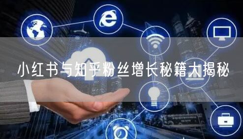 小红书与知乎粉丝增长秘籍大揭秘
