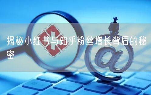 揭秘小红书与知乎粉丝增长背后的秘密