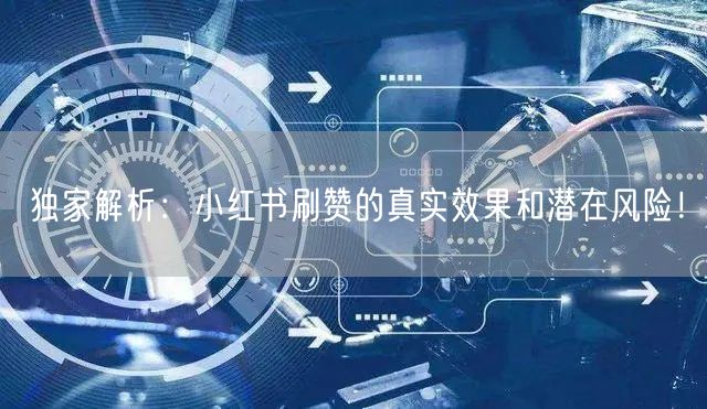 独家解析：小红书刷赞的真实效果和潜在风险！