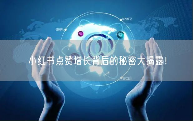 小红书点赞增长背后的秘密大揭露！