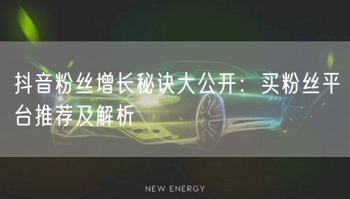 抖音粉丝增长秘诀大公开：买粉丝平台推荐及解析