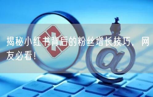 揭秘小红书背后的粉丝增长技巧，网友必看！