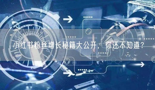 小红书粉丝增长秘籍大公开，你还不知道？