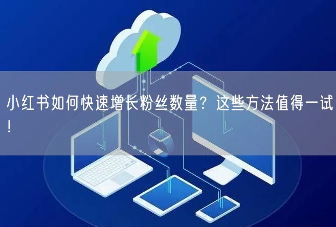 小红书如何快速增长粉丝数量？这些方法值得一试！