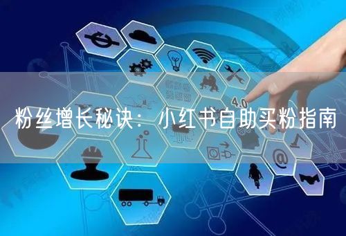 粉丝增长秘诀：小红书自助买粉指南