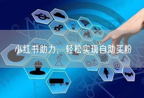 小红书助力，轻松实现自助买粉