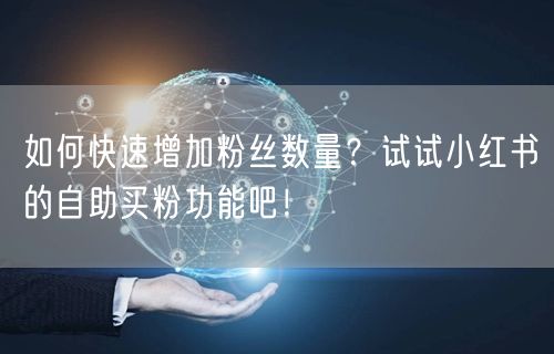 如何快速增加粉丝数量？试试小红书的自助买粉功能吧！