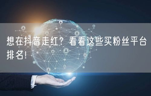 想在抖音走红？看看这些买粉丝平台排名！