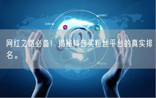 网红之路必备！揭秘抖音买粉丝平台的真实排名。