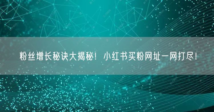 粉丝增长秘诀大揭秘！小红书买粉网址一网打尽！