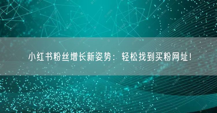 小红书粉丝增长新姿势：轻松找到买粉网址！