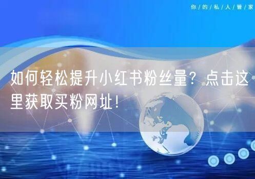如何轻松提升小红书粉丝量？点击这里获取买粉网址！