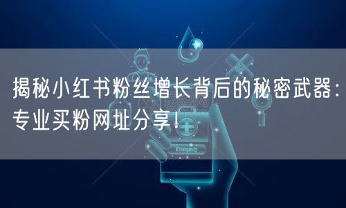 揭秘小红书粉丝增长背后的秘密武器：专业买粉网址分享！
