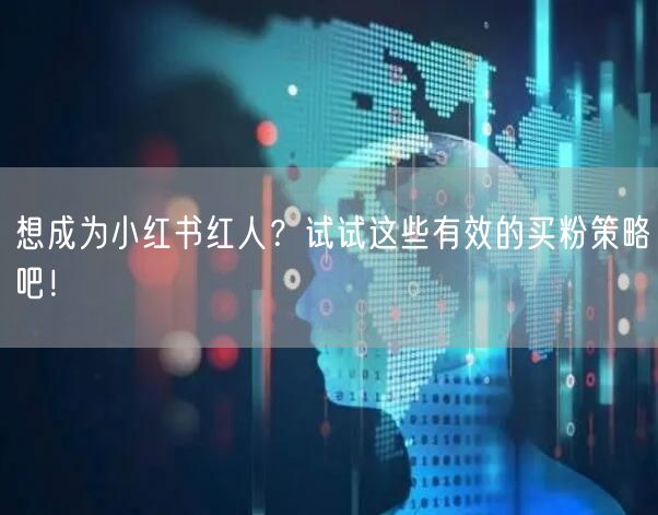 想成为小红书红人？试试这些有效的买粉策略吧！