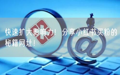 快速扩大影响力！分享小红书买粉的秘籍网址！