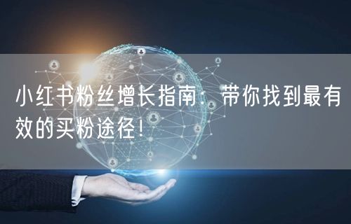 小红书粉丝增长指南：带你找到最有效的买粉途径！