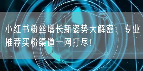 小红书粉丝增长新姿势大解密：专业推荐买粉渠道一网打尽！