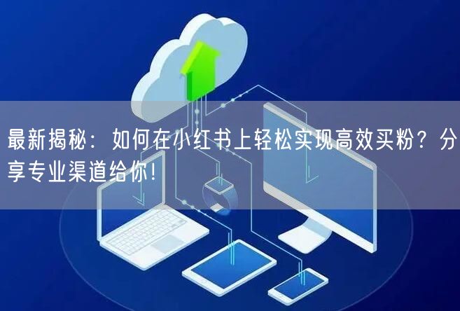 最新揭秘：如何在小红书上轻松实现高效买粉？分享专业渠道给你！