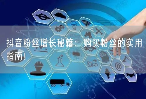 抖音粉丝增长秘籍：购买粉丝的实用指南！