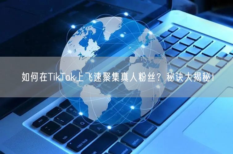 如何在TikTok上飞速聚集真人粉丝？秘诀大揭秘！