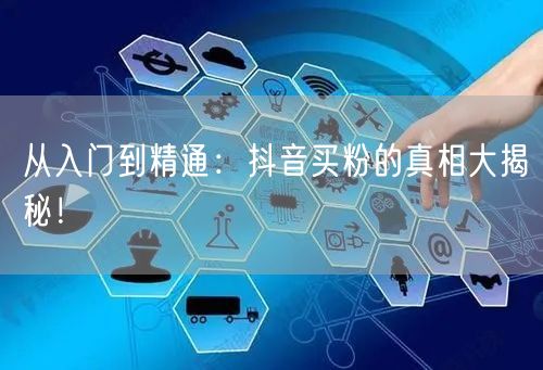 从入门到精通：抖音买粉的真相大揭秘！